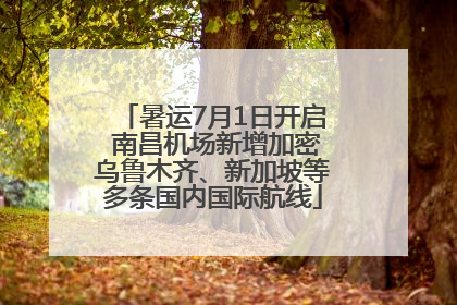 暑运7月1日开启 南昌机场新增加密乌鲁木齐、新加坡等多条国内国际航线