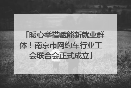 暖心举措赋能新就业群体！南京市网约车行业工会联合会正式成立