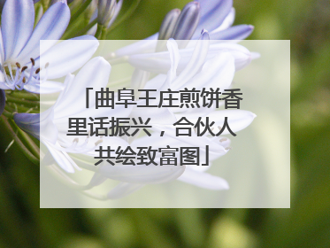 曲阜王庄煎饼香里话振兴，合伙人共绘致富图