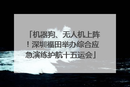 机器狗、无人机上阵！深圳福田举办综合应急演练护航十五运会