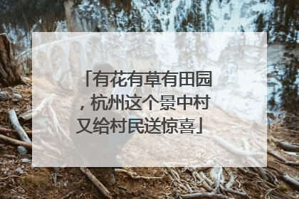有花有草有田园，杭州这个景中村又给村民送惊喜