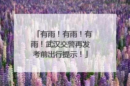 有雨！有雨！有雨！武汉交警再发考前出行提示！