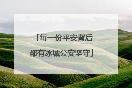 每一份平安背后 都有冰城公安坚守