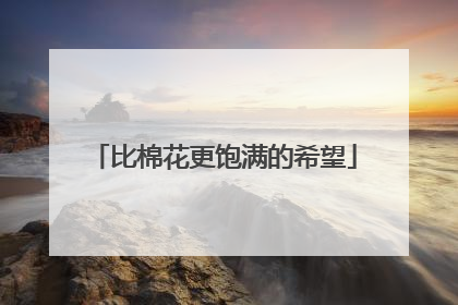 比棉花更饱满的希望