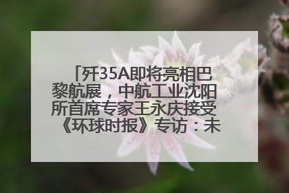 歼35A即将亮相巴黎航展，中航工业沈阳所首席专家王永庆接受《环球时报》专访：未来数量可以有很多