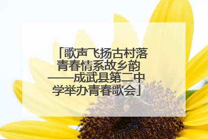 歌声飞扬古村落 青春情系故乡韵——成武县第二中学举办青春歌会