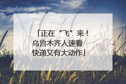 正在“飞”来！乌鲁木齐人速看 快递又有大动作