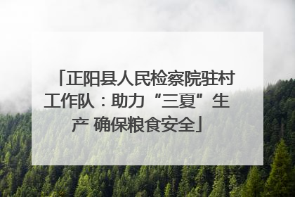 正阳县人民检察院驻村工作队：助力“三夏”生产 确保粮食安全