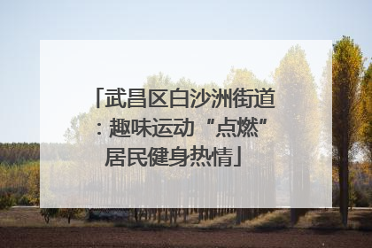 武昌区白沙洲街道：趣味运动“点燃”居民健身热情