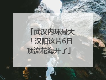 武汉内环最大！汉阳这片6月顶流花海开了