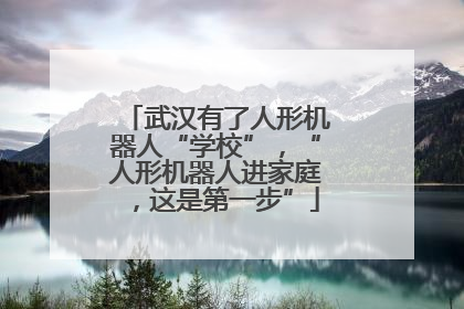 武汉有了人形机器人“学校”，“人形机器人进家庭，这是第一步”