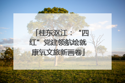 桂东沤江：“四红”党建领航绘就康氧文旅新画卷