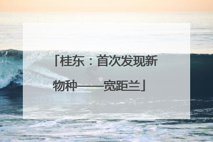 桂东：首次发现新物种——宽距兰