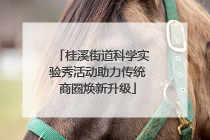 桂溪街道科学实验秀活动助力传统商圈焕新升级