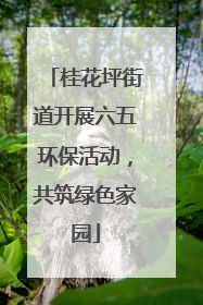 桂花坪街道开展六五环保活动，共筑绿色家园