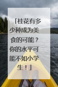 桂花有多少种成为美食的可能？你的水平可能不如小学生！