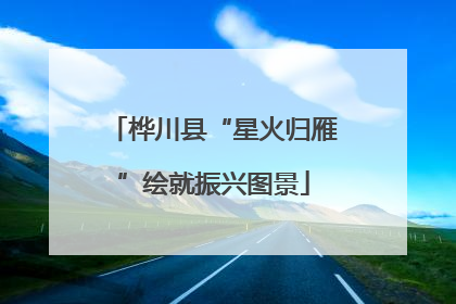 桦川县“星火归雁”绘就振兴图景