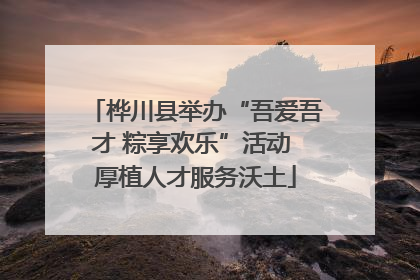 桦川县举办“吾爱吾才 粽享欢乐”活动 厚植人才服务沃土