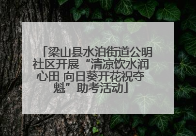 梁山县水泊街道公明社区开展“清凉饮水润心田 向日葵开花祝夺魁”助考活动