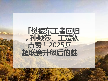 樊振东王者回归，孙颖莎、王楚钦点赞！2025乒超联赛升级后的魅力何在？