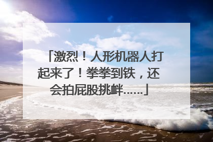 激烈！人形机器人打起来了！拳拳到铁，还会拍屁股挑衅……