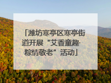 潍坊寒亭区寒亭街道开展“艾香童趣·粽情敬老”活动