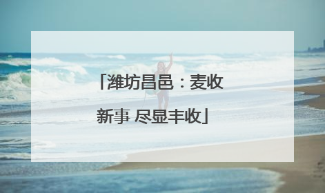 潍坊昌邑：麦收新事 尽显丰收