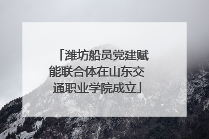 潍坊船员党建赋能联合体在山东交通职业学院成立