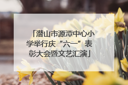 潜山市源潭中心小学举行庆“六一”表彰大会暨文艺汇演