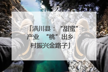 潢川县：“甜蜜”产业  “桃”出乡村振兴金路子