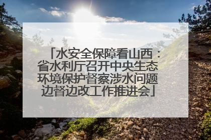水安全保障看山西：省水利厅召开中央生态环境保护督察涉水问题边督边改工作推进会