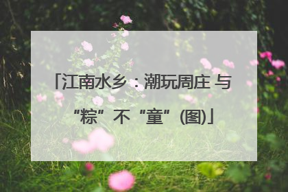 江南水乡：潮玩周庄 与“粽”不“童”(图)