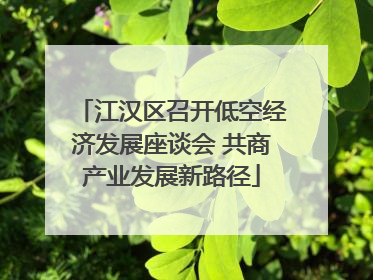 江汉区召开低空经济发展座谈会 共商产业发展新路径