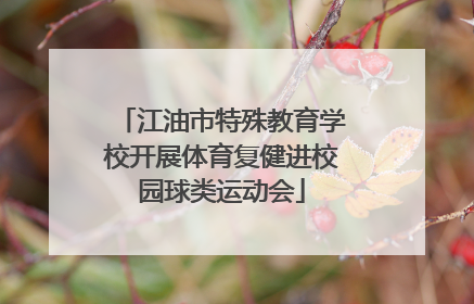 江油市特殊教育学校开展体育复健进校园球类运动会
