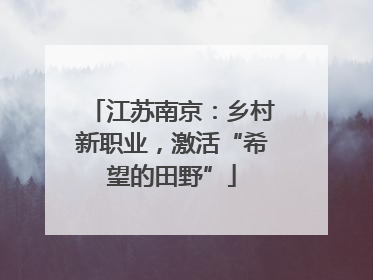江苏南京：乡村新职业，激活“希望的田野”