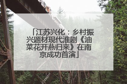 江苏兴化：乡村振兴题材现代淮剧《油菜花开燕归来》在南京成功首演