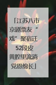 江苏八市京剧票友“戏”聚宿迁 52段皮黄腔里流淌党恩绵长
