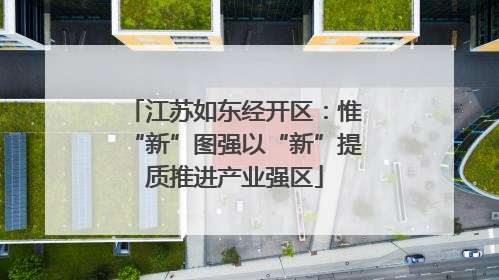 江苏如东经开区：惟“新”图强以“新”提质推进产业强区