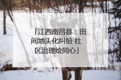 江西南昌县：田间地头化纠纷 社区治理绘同心