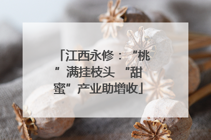 江西永修：“桃”满挂枝头 “甜蜜”产业助增收