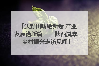 沃野田畴绘新卷 产业发展谱新篇——陕西岚皋乡村振兴走访见闻