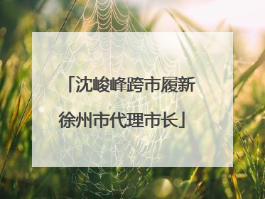 沈峻峰跨市履新徐州市代理市长
