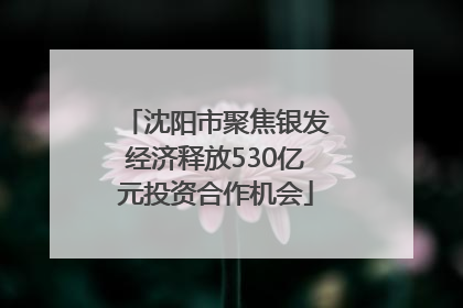 沈阳市聚焦银发经济释放530亿元投资合作机会