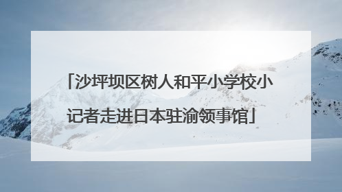 沙坪坝区树人和平小学校小记者走进日本驻渝领事馆
