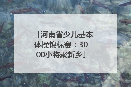 河南省少儿基本体操锦标赛：3000小将聚新乡