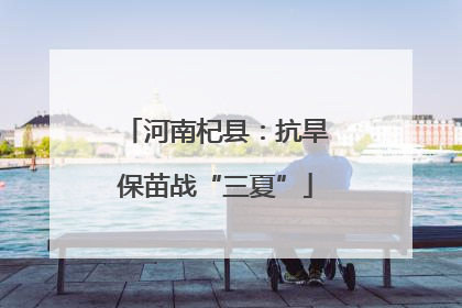 河南杞县：抗旱保苗战“三夏”