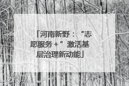 河南新野：“志愿服务＋”激活基层治理新动能