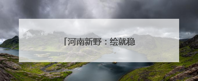 河南新野：绘就稳产丰收“金画卷”