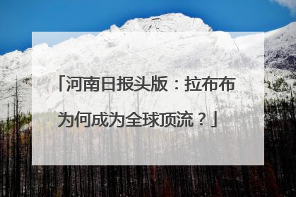 河南日报头版：拉布布为何成为全球顶流？