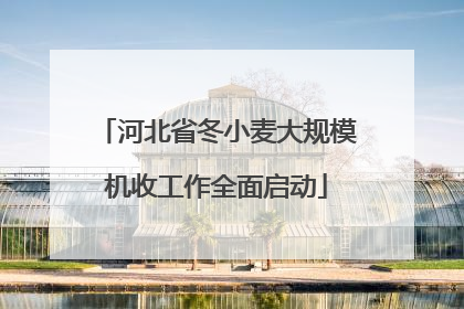 河北省冬小麦大规模机收工作全面启动